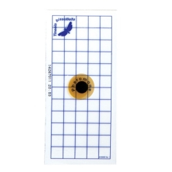 InPest Geo Pad Blu 10 Pz