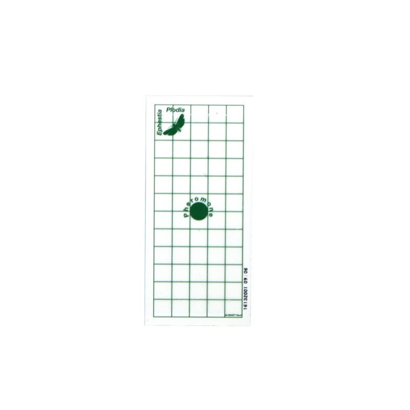 InPest Geo Pad Verde 10 Pz