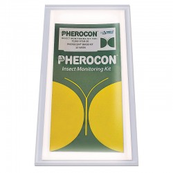 Pherocon Cimice Asiatica 2 Pz