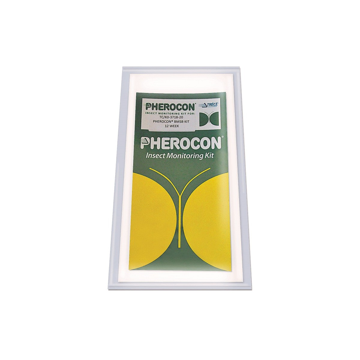 Pherocon Cimice Asiatica 2 Pz
