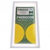 Pherocon Cimice Asiatica 2 Pz