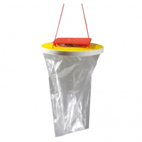 Bleu Line Red Top Mosche