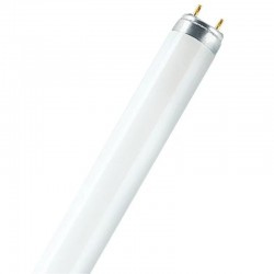 Bleu Line Neon 18 W