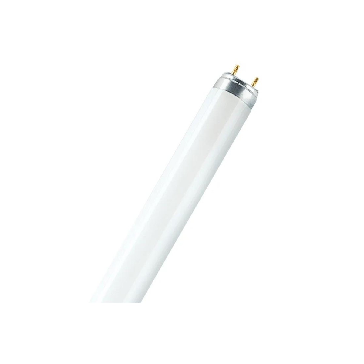 Bleu Line Neon 18 W
