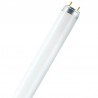 Bleu Line Neon 18 W