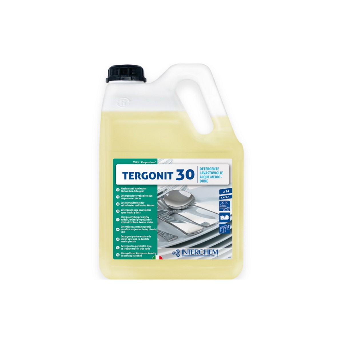 Interchem Tergonit 30 kg 6