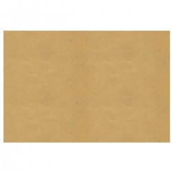Essebidue Tovaglietta Carta Paglia 30 x 40 cm 1500 pz
 ColoreAtt-Avana