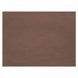 Essebidue Tovaglietta Carta Paglia 30 x 40 cm 1500 pz
 ColoreAtt-Cacao