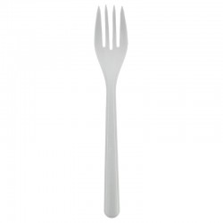 Forchette Bio 25 pz