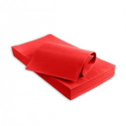 Essebidue Tovaglia TNT 100 x 100 cm 100 pz
 ColoreAtt-Rosso
