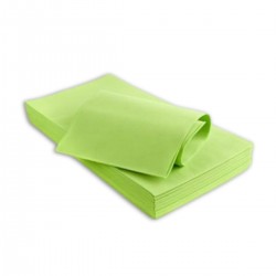 Essebidue Tovaglia TNT 100 x 100 cm 100 pz
 ColoreAtt-Verde