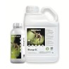 Newpharm Blucyp EC Insetticida