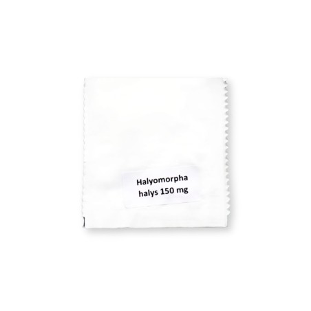 Diablex Attrattivo per Cimice Asiatica Feromone Sessuale 150 mg