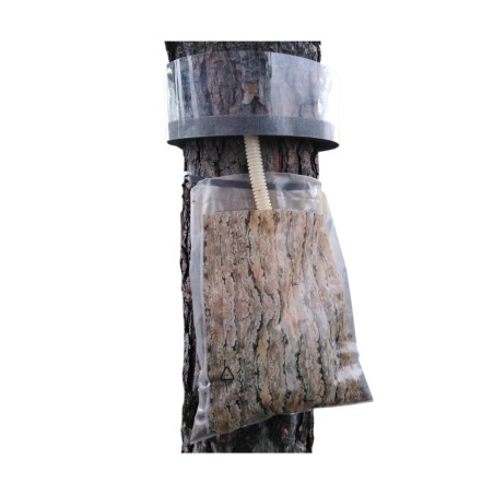 THAUMEREX XL Collare per la Processionaria del Pino 280 cm