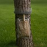THAUMEREX XL Collare per la Processionaria del Pino 280 cm