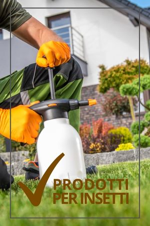 insetticidi piano haccp